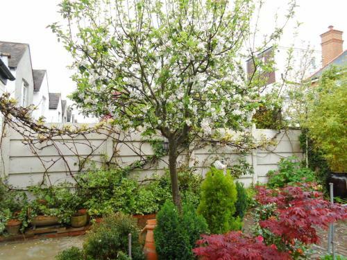Hostal Compton Guest House