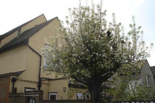 Hostal Compton Guest House