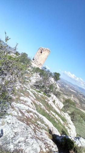 La Casita De T�zar