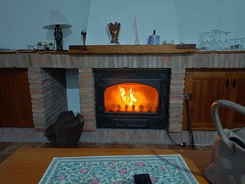 Zahara Lucky Booking