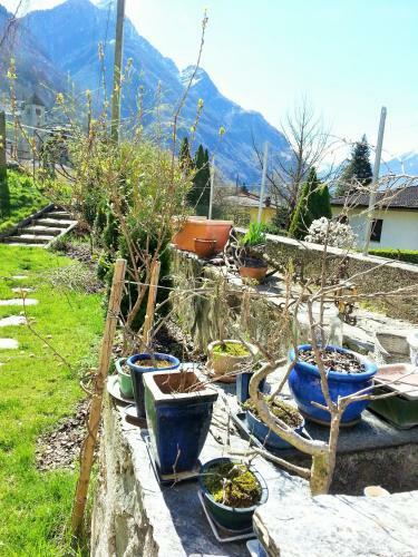 B&B Il Calicanto