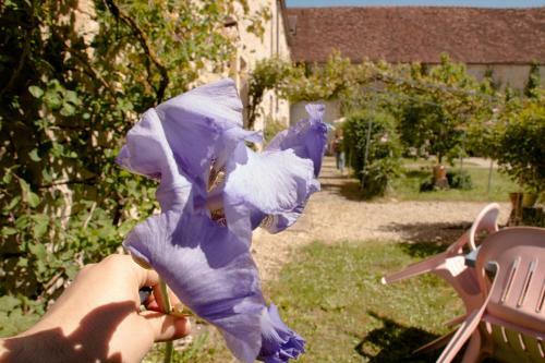 Bed & Breakfast La Grande Vesvre