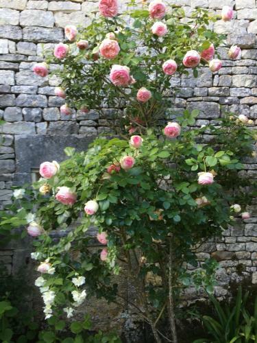 Bed & Breakfast Logis De Guitres - Chambres D'hotes
