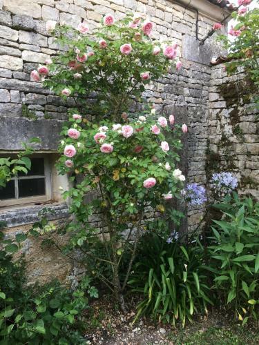 Bed & Breakfast Logis De Guitres - Chambres D'hotes