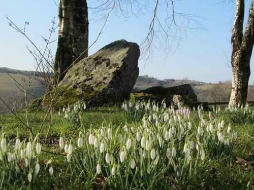 Brynarth Country Cottages