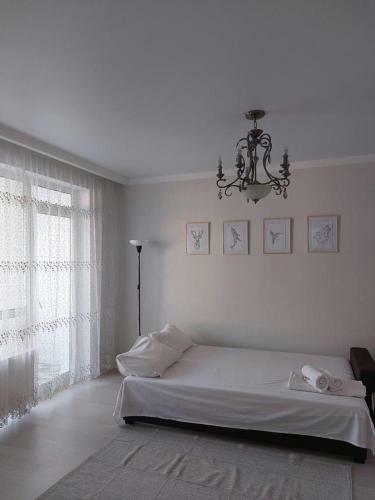 Apartamento Freedom Home