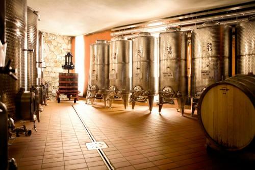 Agroturismo Agriturismo L'uva E Le Stelle
