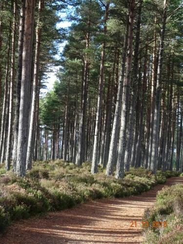 Poppy Lodge