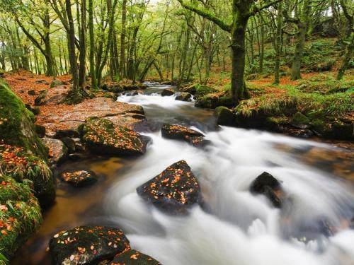 Watermill