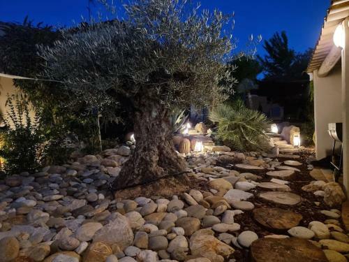 Villa Une Oasis Au Pays De C�zanne