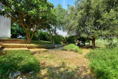 Apartments Banjole Garden