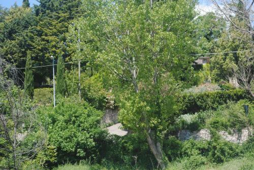Villa Le Casaline