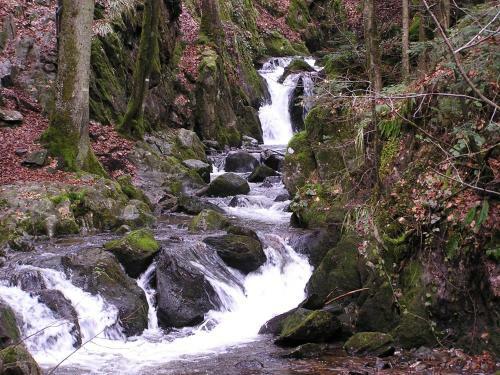 Bed & Breakfast Chambres D'h�tes Les Quatre Saisons