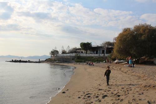 Bodrum Fenerburnu Villa
