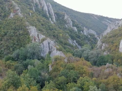 Apartman Dora