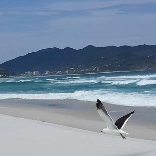 Apartamento Aluguel Temporada Mar E Piscina Arraial Do Cabo
