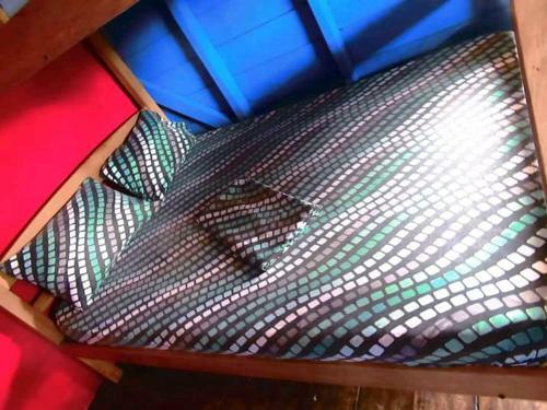 Hotel M�ndala Monta�ita