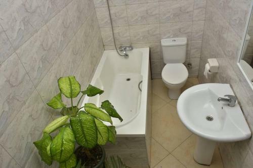 Apartamento Unique House In An Authentic Part Of Kampala