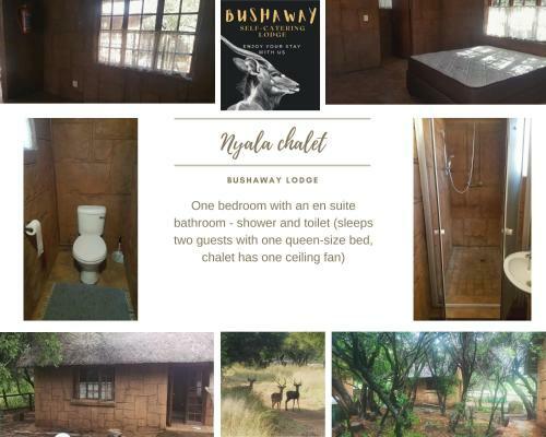 Bosveld Bruilof & Bushaway Lodge
