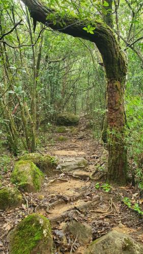 Knuckles Gateway Hiking