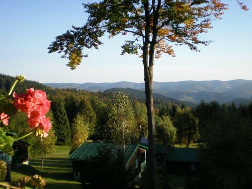 Moravia Sol�?, Horsk� Chata