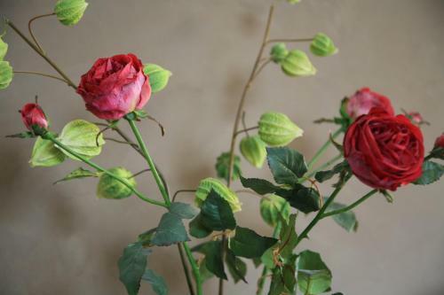 Bed & Breakfast Ch�teau Le Briou D'autry