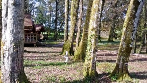 Bed & Breakfast Chambres D'h�tes La Gargaille