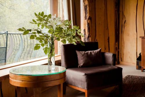 Lodge Huilo Huilo Nothofagus Hotel & Spa