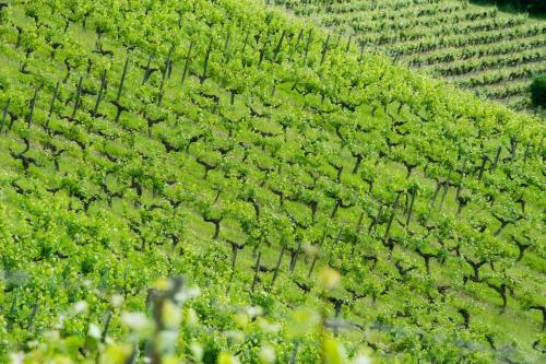 Bed & Breakfast Ch�teau Soucherie
