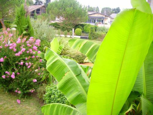 Hotel H�tel De France