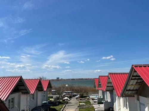 ?????? ? ???? - ???????