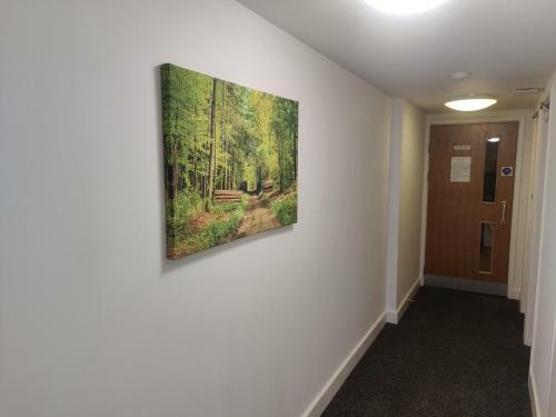 Accommodation Bradford