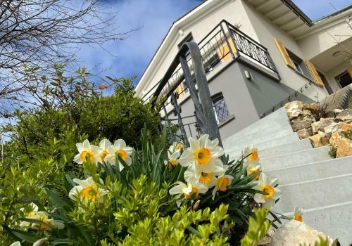 Villa Traumhaftes Ferienhaus Mit See- Und Alpenblick