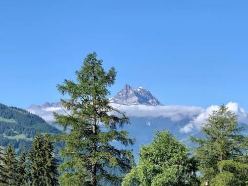 Chalet La Chamoissette With Panoramic Views