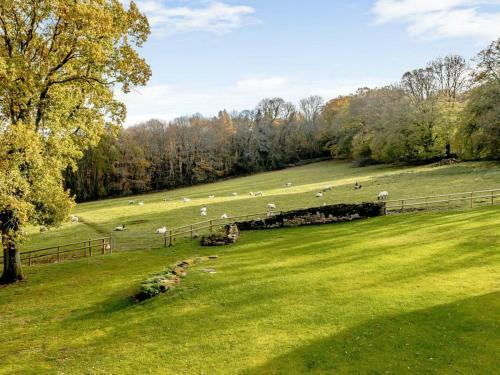 Horseshoe - Uk30759
