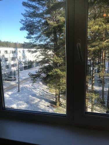 Cosy En-suit Room With A View