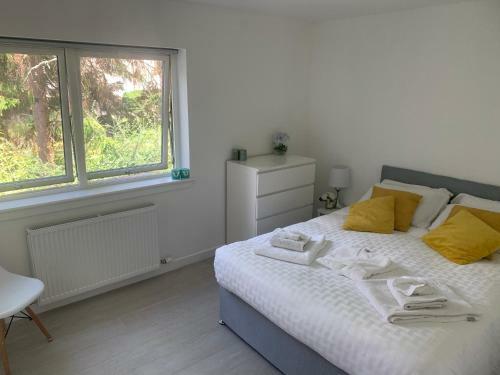 1-bedroom Apartment Next To University