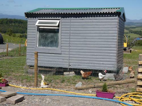 The Arns Glamping Pods