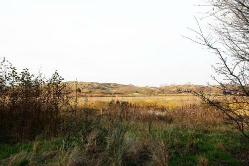 Prachtige Duinvilla's Op Natuurpark