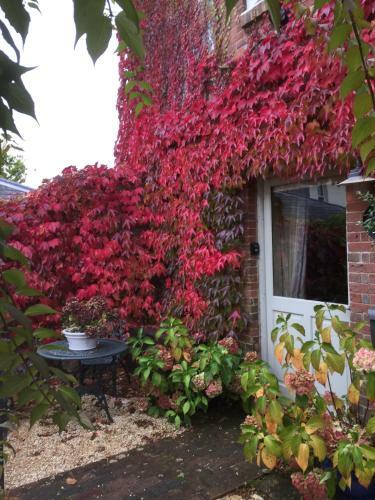 Villa The Dovecote, Stoke Farthing Courtyard