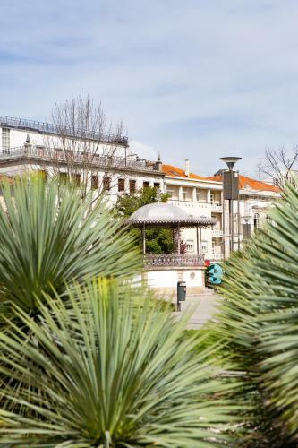 Apartamento Souto Dreams