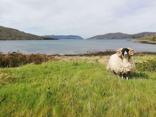 Luib House. Spacious Self-catering By The Sea.