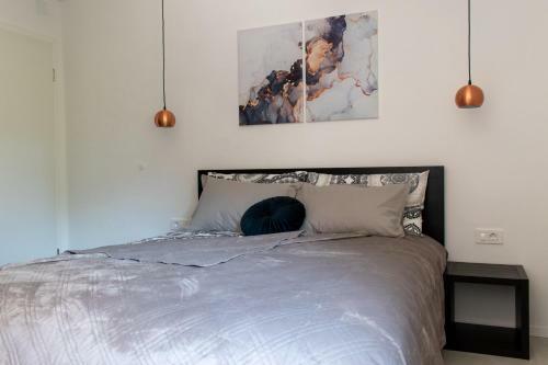 Apartmaji Na Placu