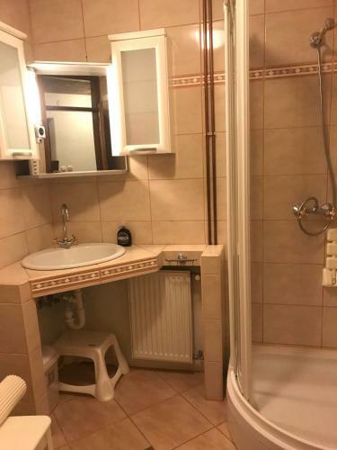 Apartment Gaja - Golte