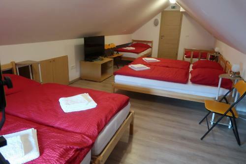 Apartma Jelovca - In The Attic