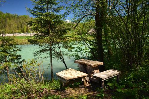 Robinson River Camp