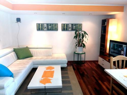 Apartamento Mateja House