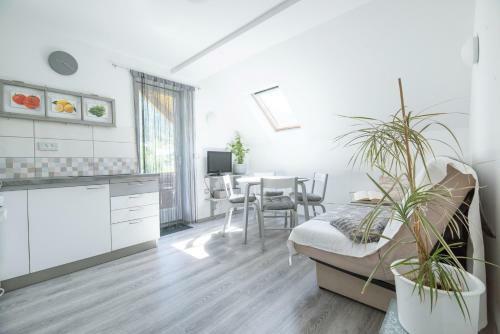 Apartamento Mateja House
