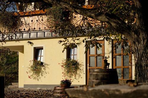 Apartamento Vineyard Cottage Majzelj