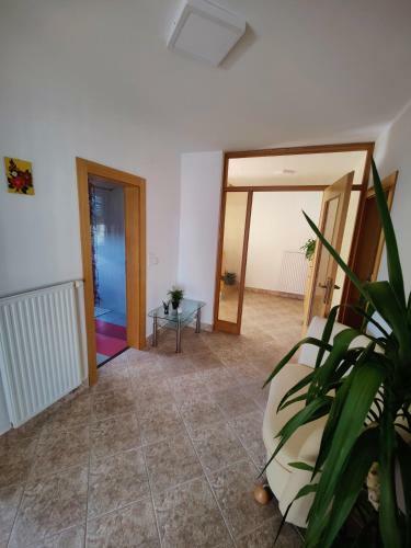 Apartma Ajja